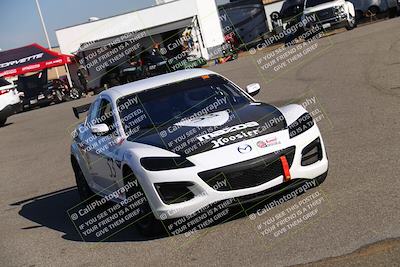 media/Oct-14-2023-CalClub SCCA (Sat) [[0628d965ec]]/Around the Pits/